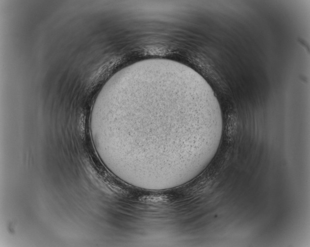 X0000102340639200808221631