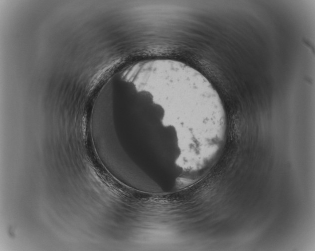 X0000102340640200808221631