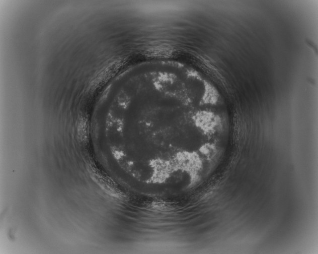 X0000102340641200808221631