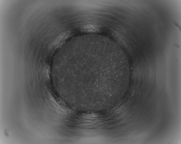 X0000102340643200808221632