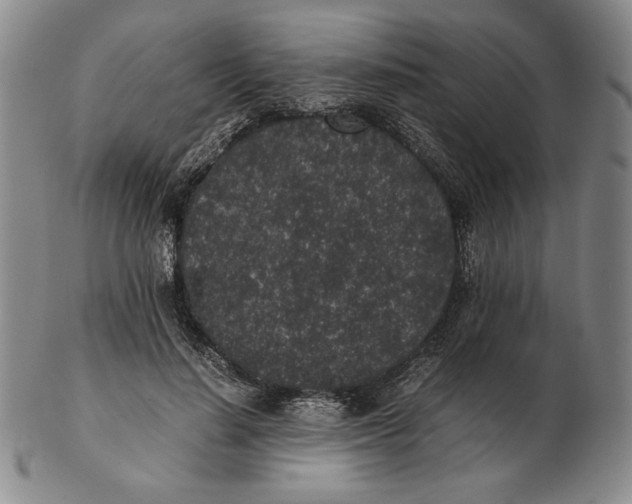 X0000102340644200808221632