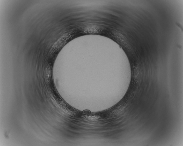 X0000102340645200808221632