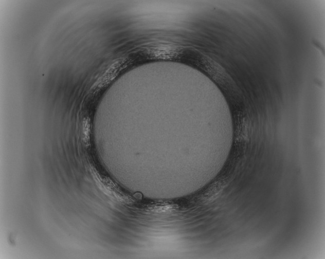 X0000102340646200808221632