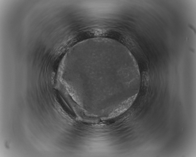 X0000102340650200808221632