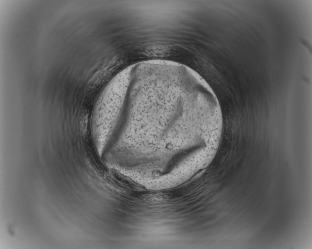 X0000102340652200808221632