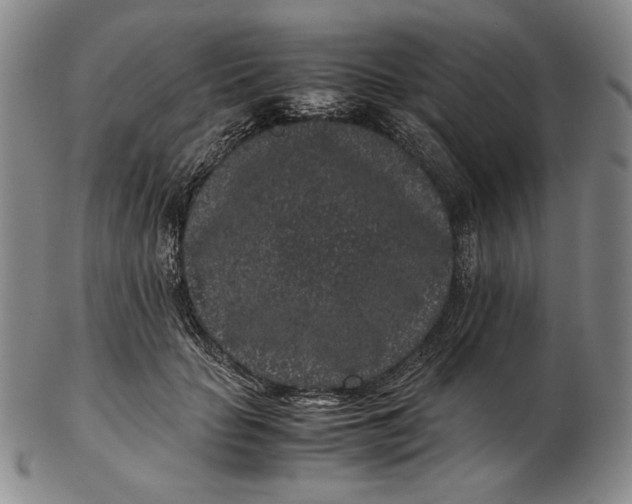 X0000102340653200808221632