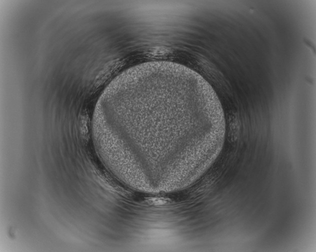 X0000102340654200808221632