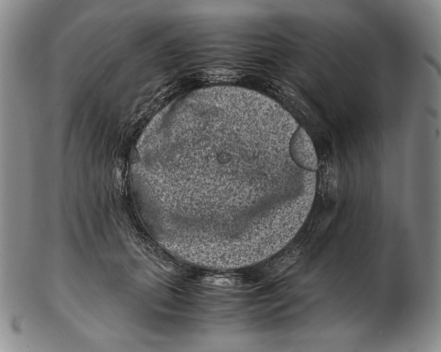 X0000102340655200808221632