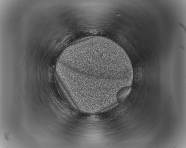 X0000102340656200808221632