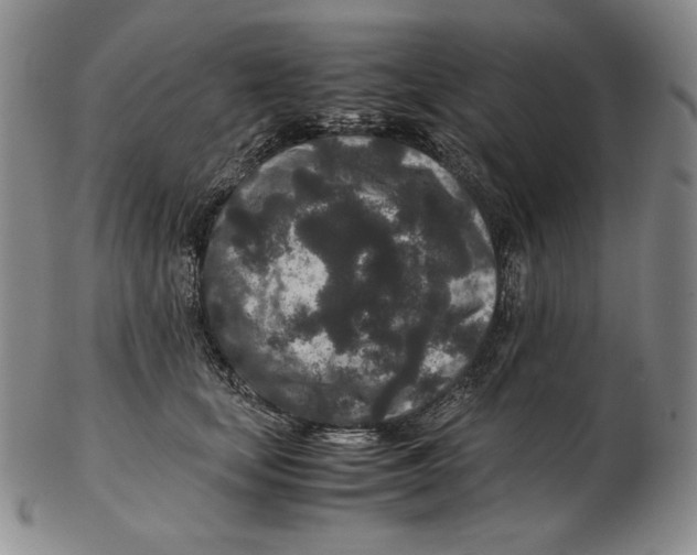 X0000102340659200808221632