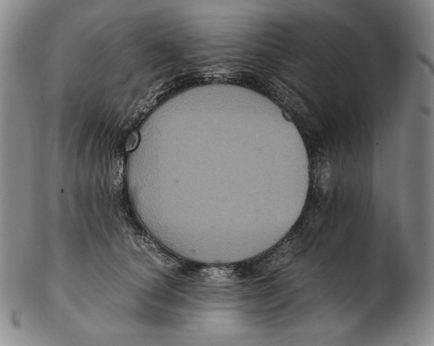 X0000102340660200808221632