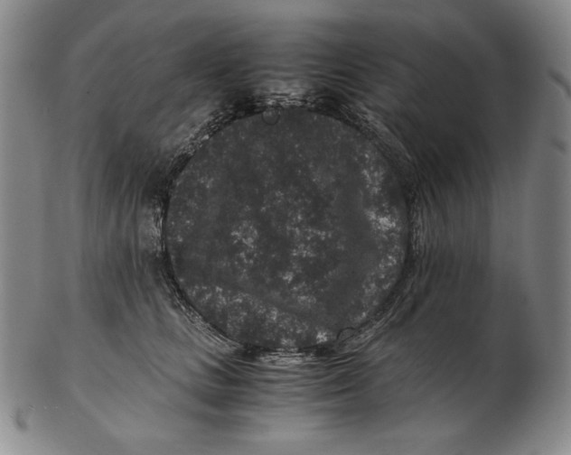 X0000102340661200808221632