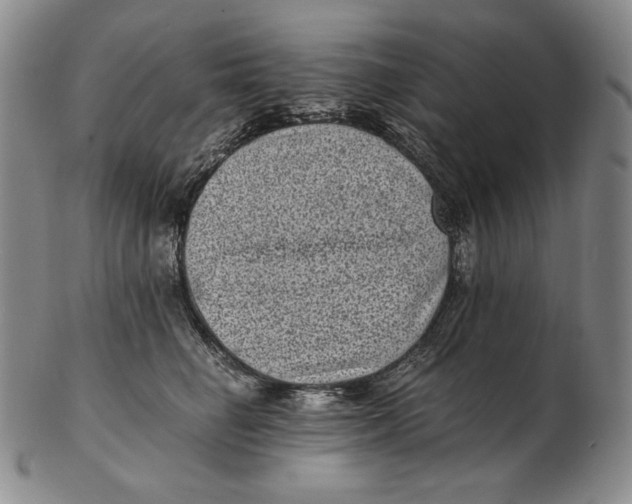 X0000102340662200808221632