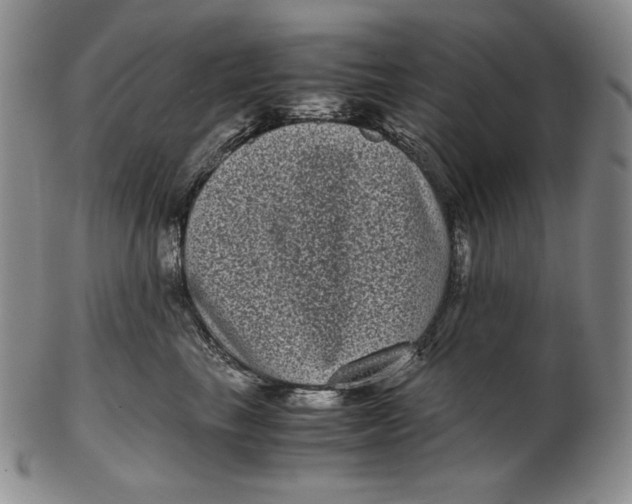 X0000102340665200808221632