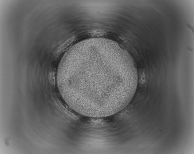 X0000102340666200808221632