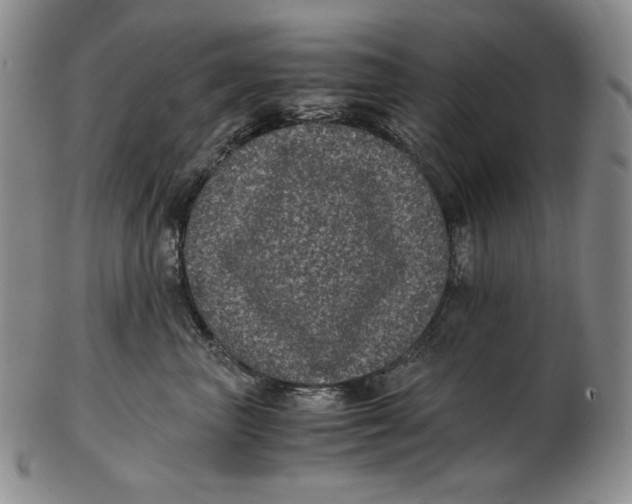 X0000102340667200808221632