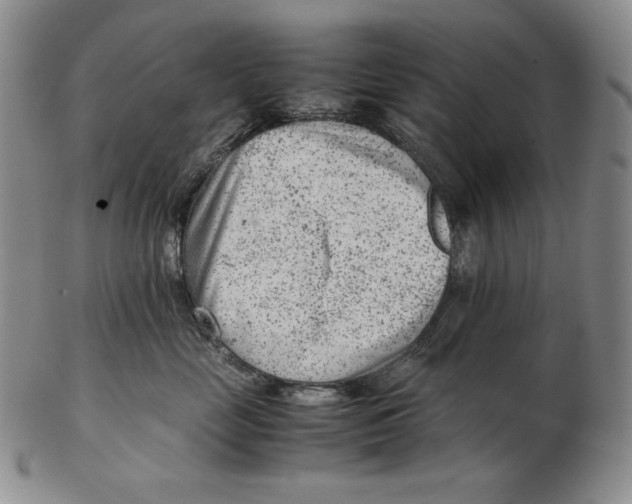 X0000102340669200808221632