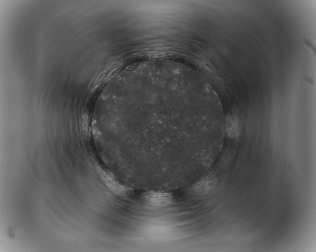 X0000102340670200808221632