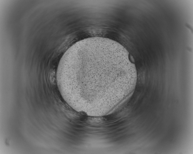 X0000102340671200808221632