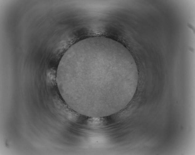 X0000102340672200808221632