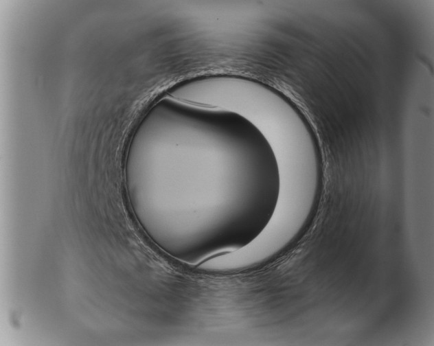 X0000102340673200808221631