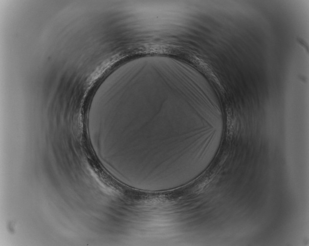 X0000102340674200808221631