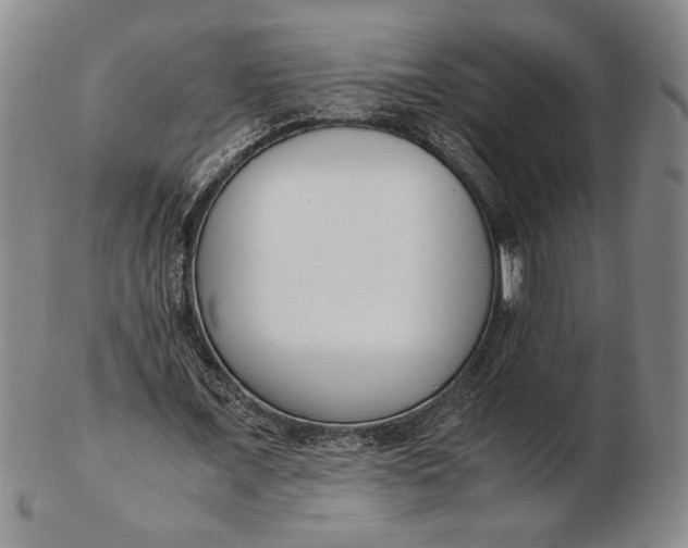 X0000102340675200808221631