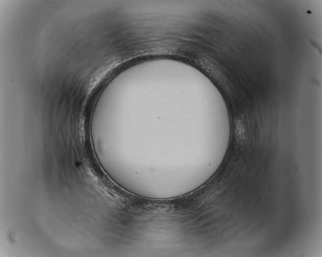 X0000102340676200808221631