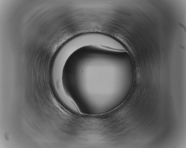 X0000102340677200808221631