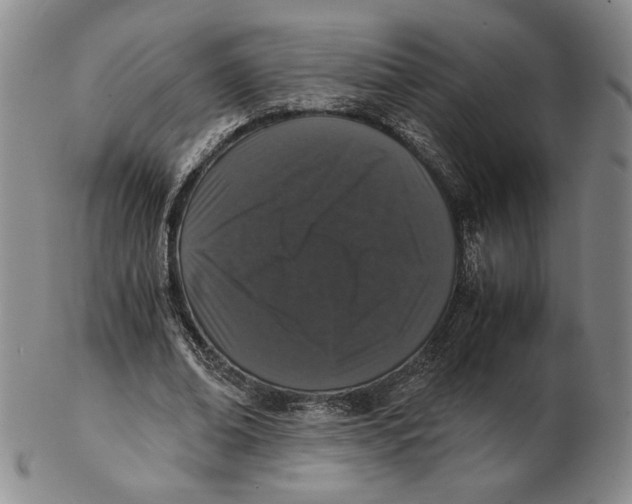 X0000102340678200808221631