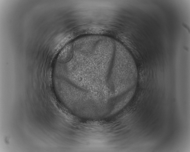 X0000102340679200808221631