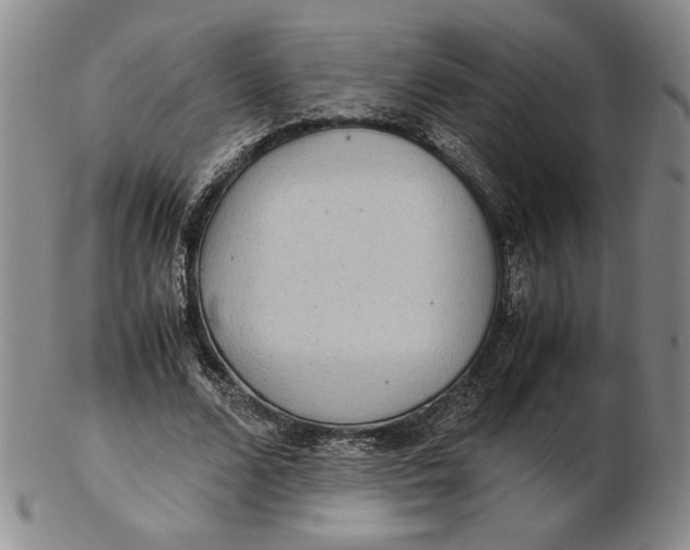 X0000102340680200808221631