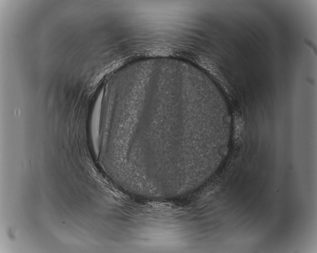 X0000102340681200808221631