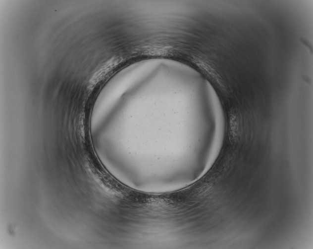 X0000102340682200808221631