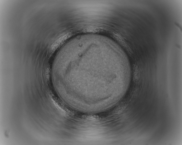 X0000102340683200808221631