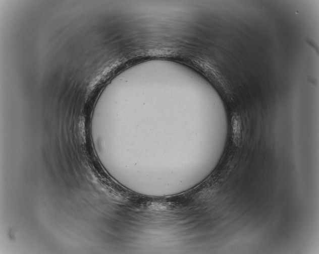 X0000102340684200808221631