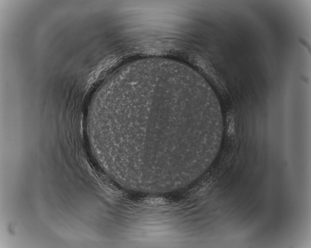 X0000102340685200808221631