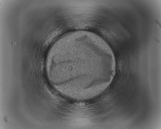 X0000102340687200808221631