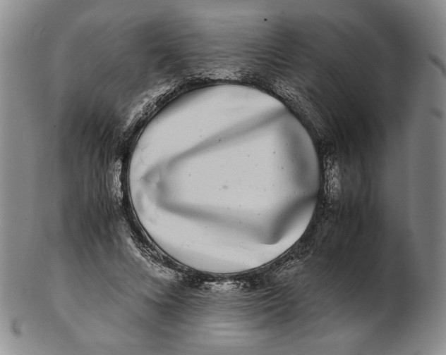 X0000102340688200808221631