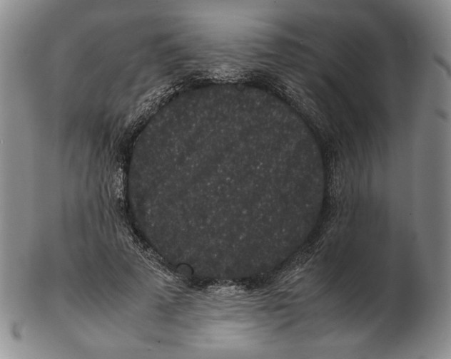 X0000102340689200808221631