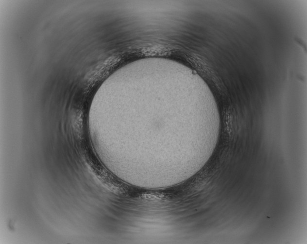 X0000102340690200808221631