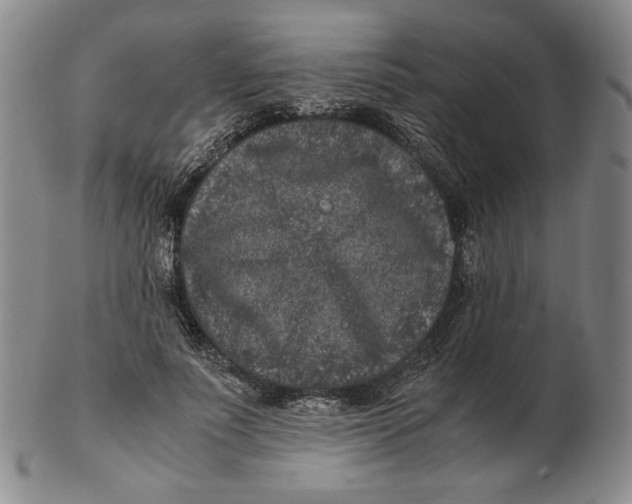 X0000102340691200808221631