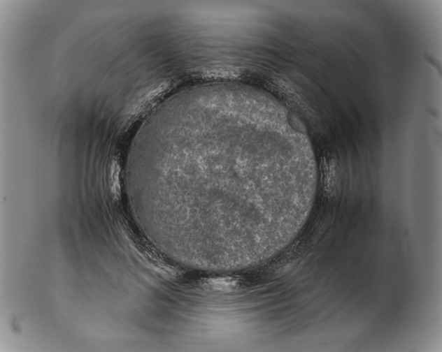 X0000102340692200808221631