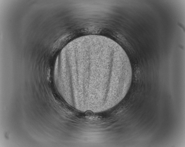 X0000102340693200808221631