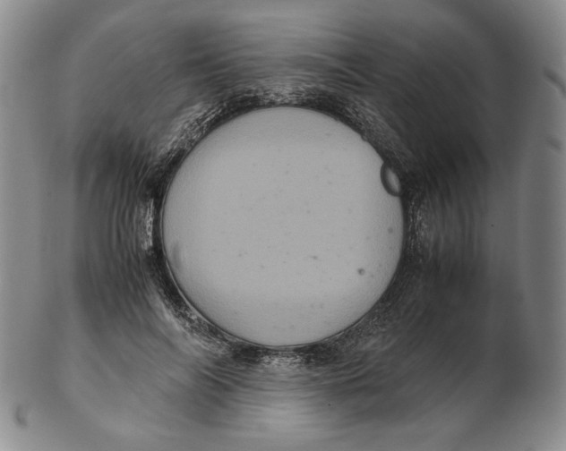 X0000102340694200808221631