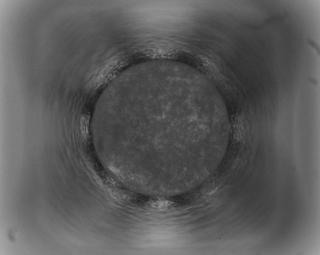 X0000102340695200808221631