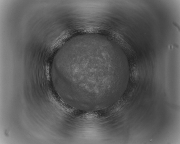 X0000102340696200808221631