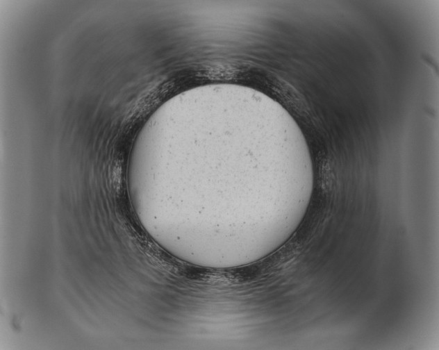 X0000102340697200808221631