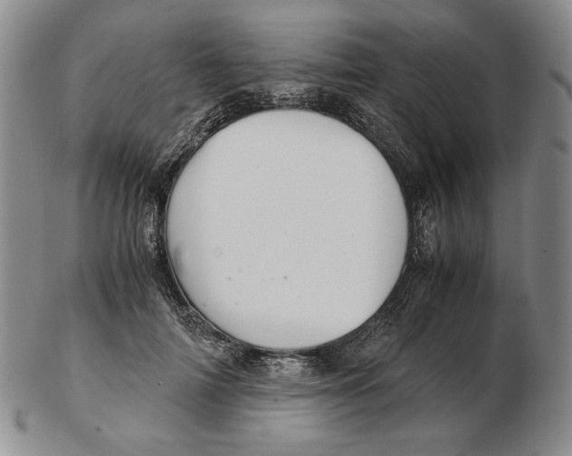 X0000102340698200808221631