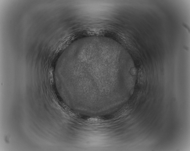 X0000102340699200808221631